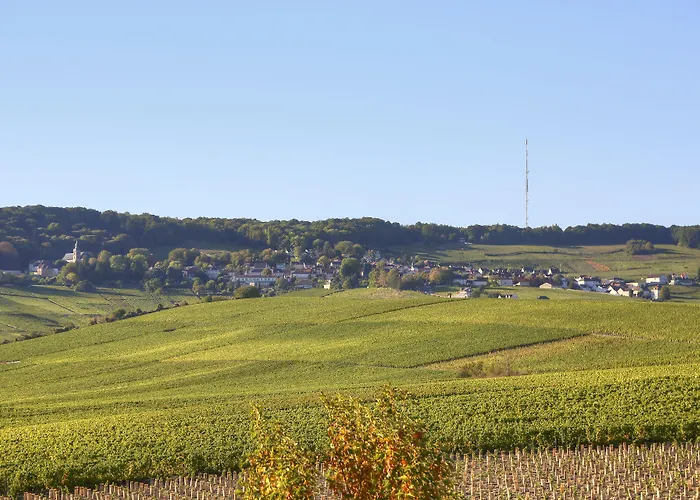 Hotel Restaurant Les Grains D'Argent Dizy - Epernay